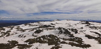 Rams Head Range - Kosciuszko National Park - NSW T (PBH4 00 10470)